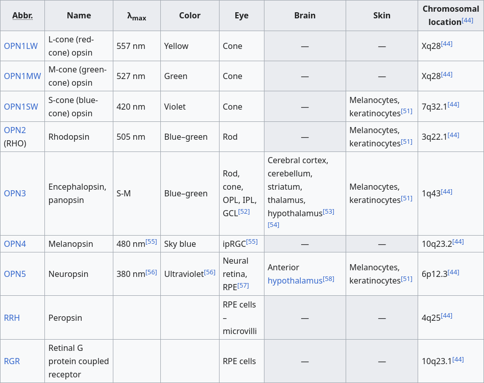 Chart of human opsins from https://en.wikipedia.org/wiki/Opsin#Opsins_in_the_human_eye,_brain,_and_skin